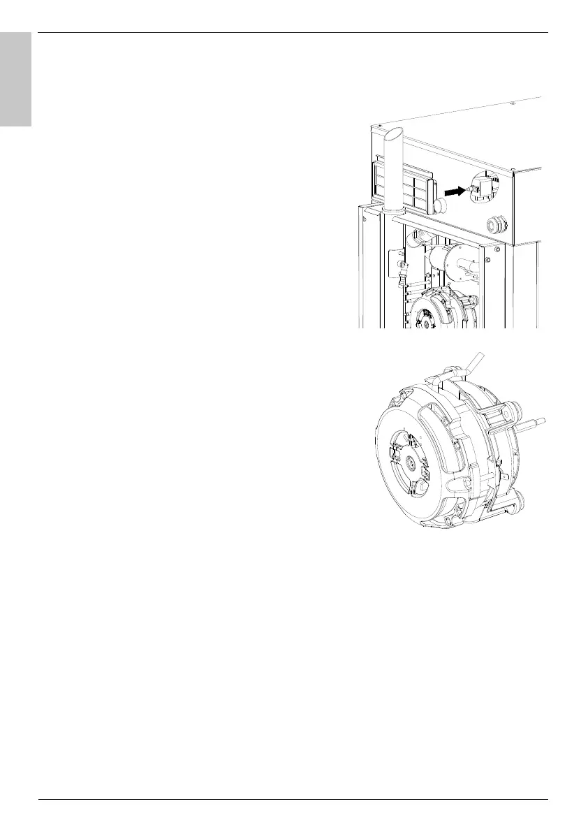 Page #38 background image