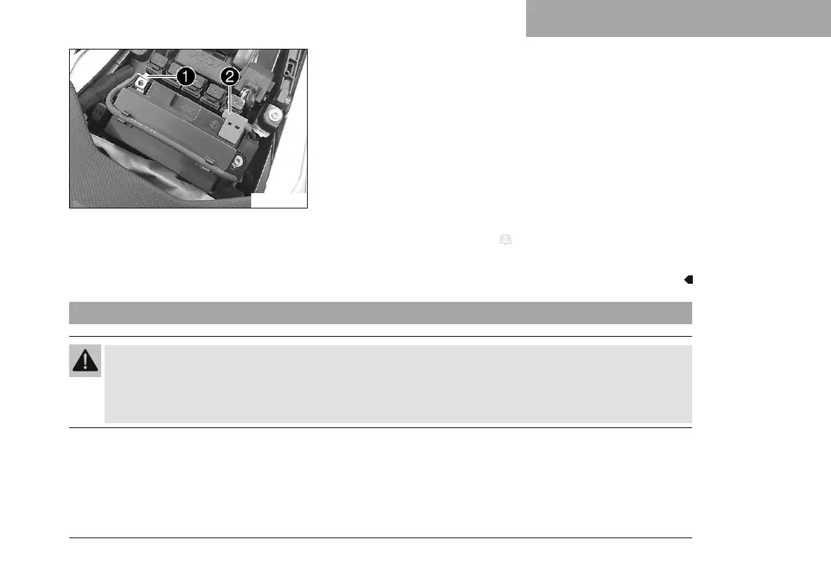 Page #223 background image