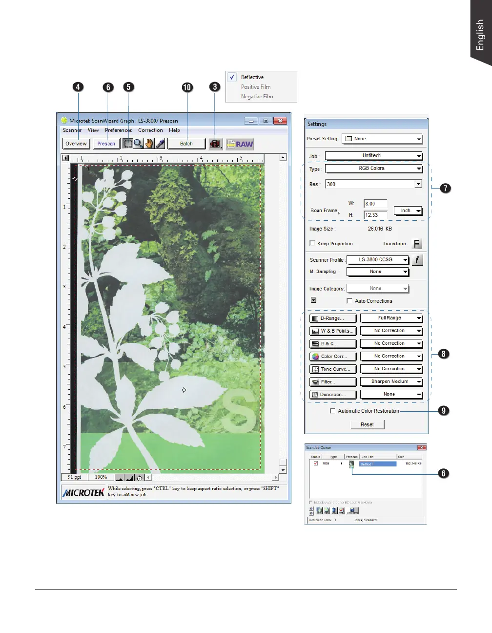 Page #19 background image