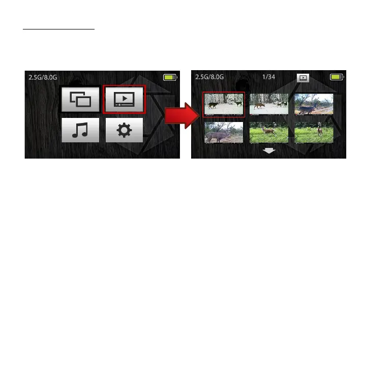 Page #7 background image