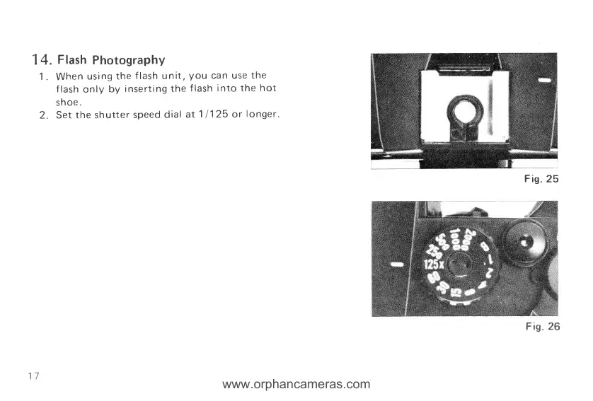 Page #19 background image