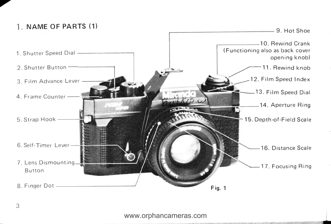 Page #5 background image
