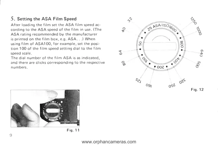 Page #11 background image