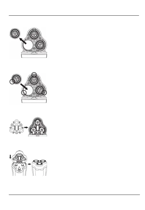Page #81 background image