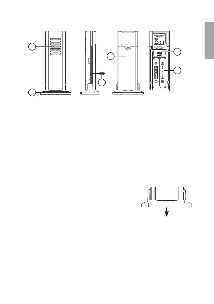 Page #5 background image