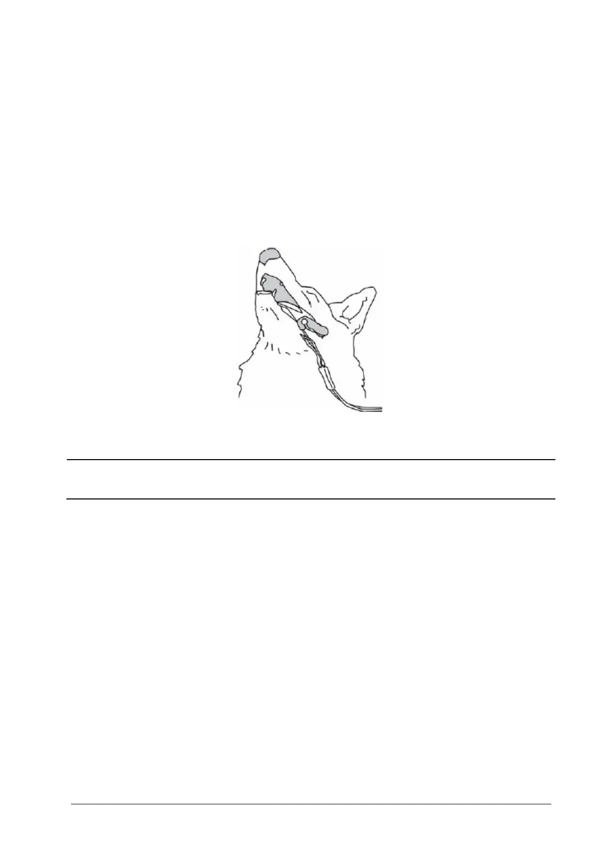 Page #89 background image