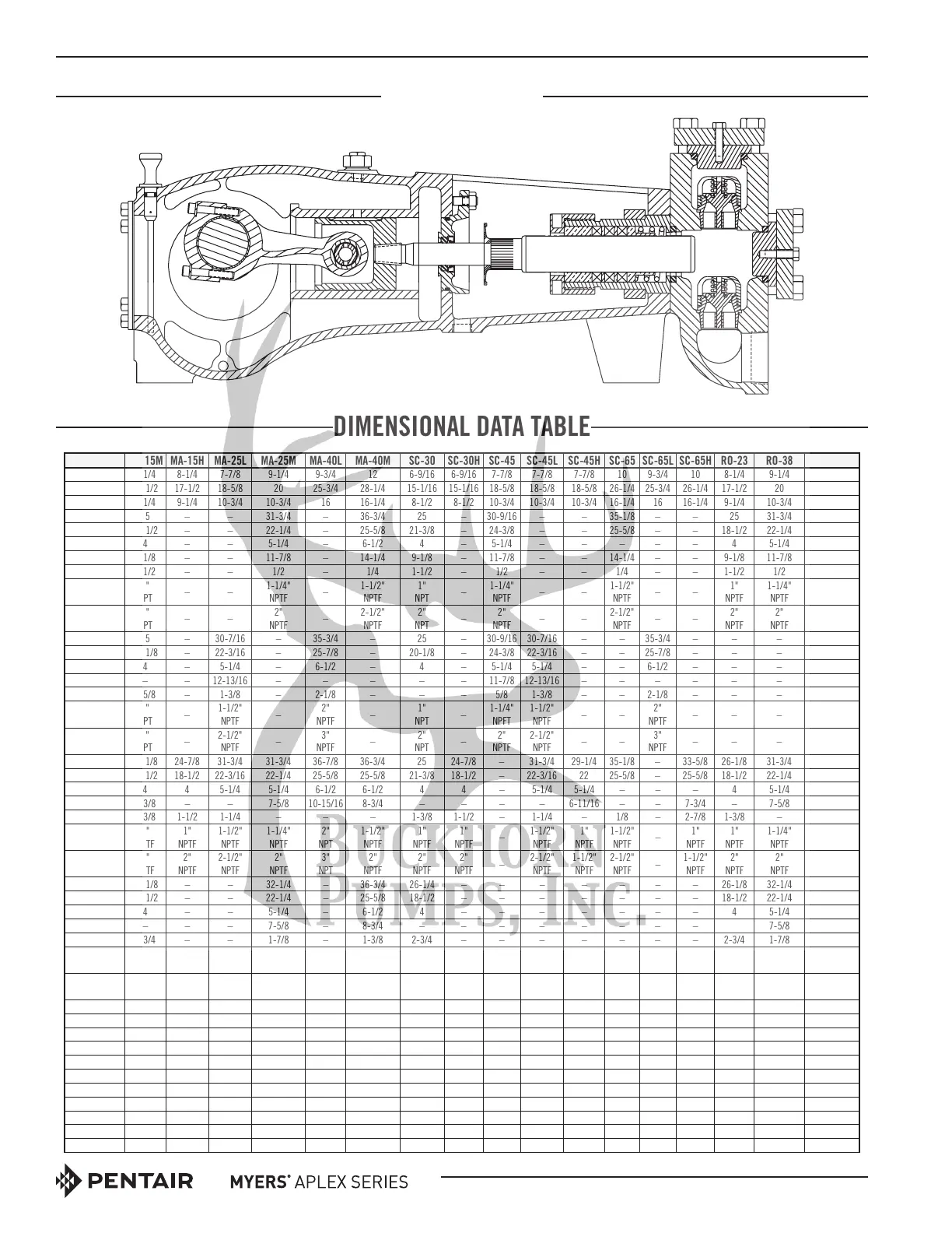 Page #20 background image