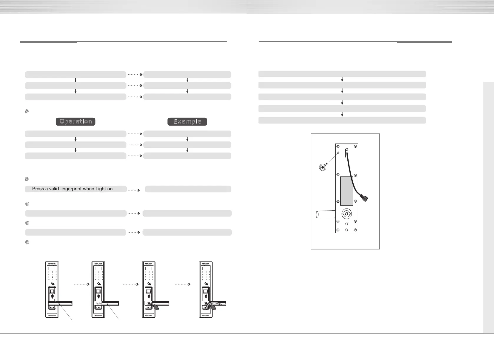 Page #6 background image
