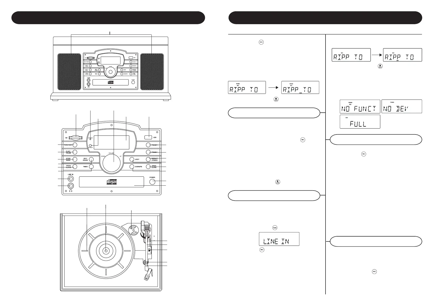 Page #8 background image