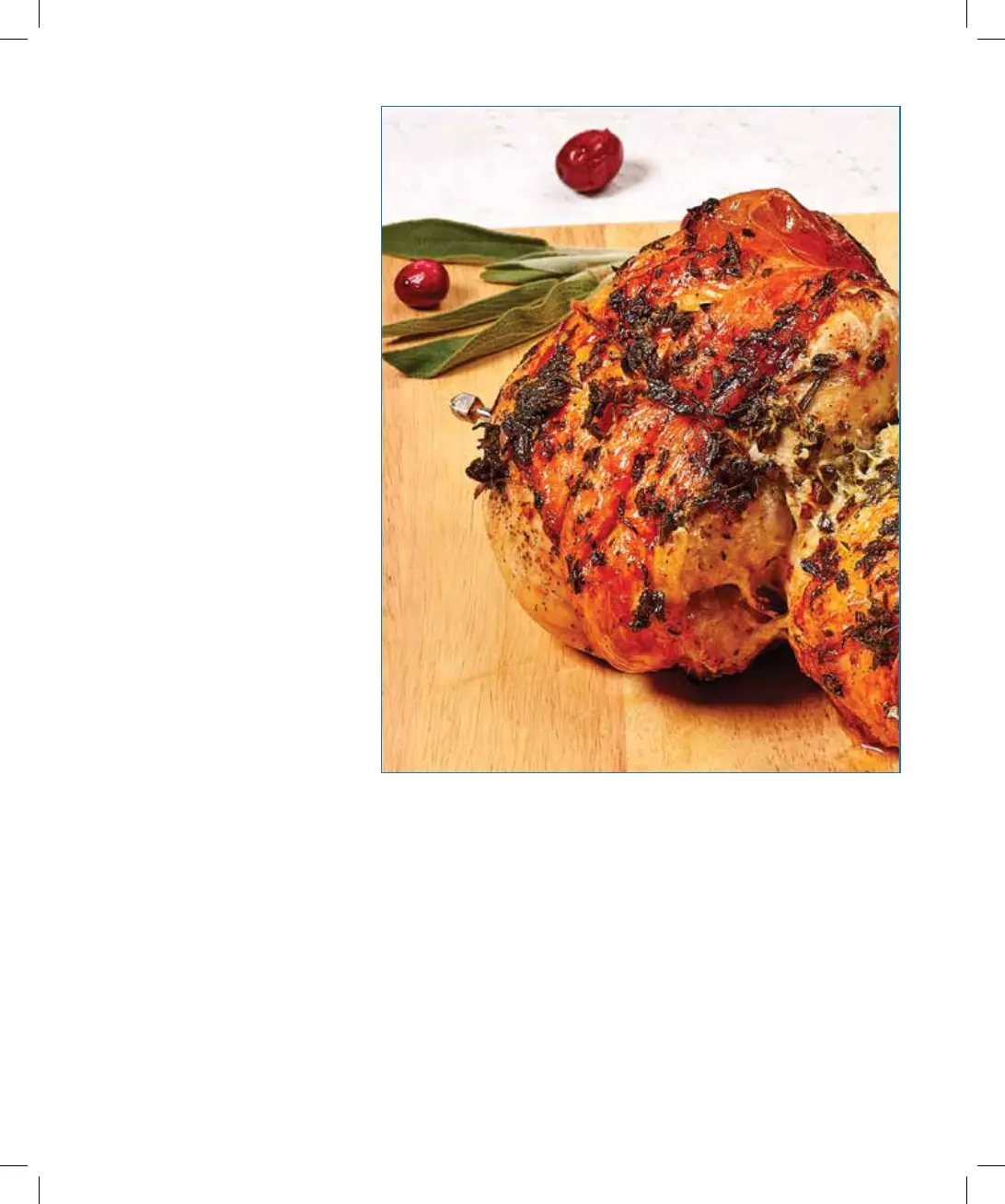 Page #44 background image