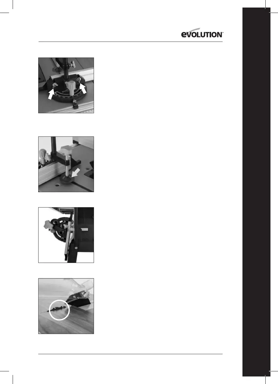 Page #21 background image
