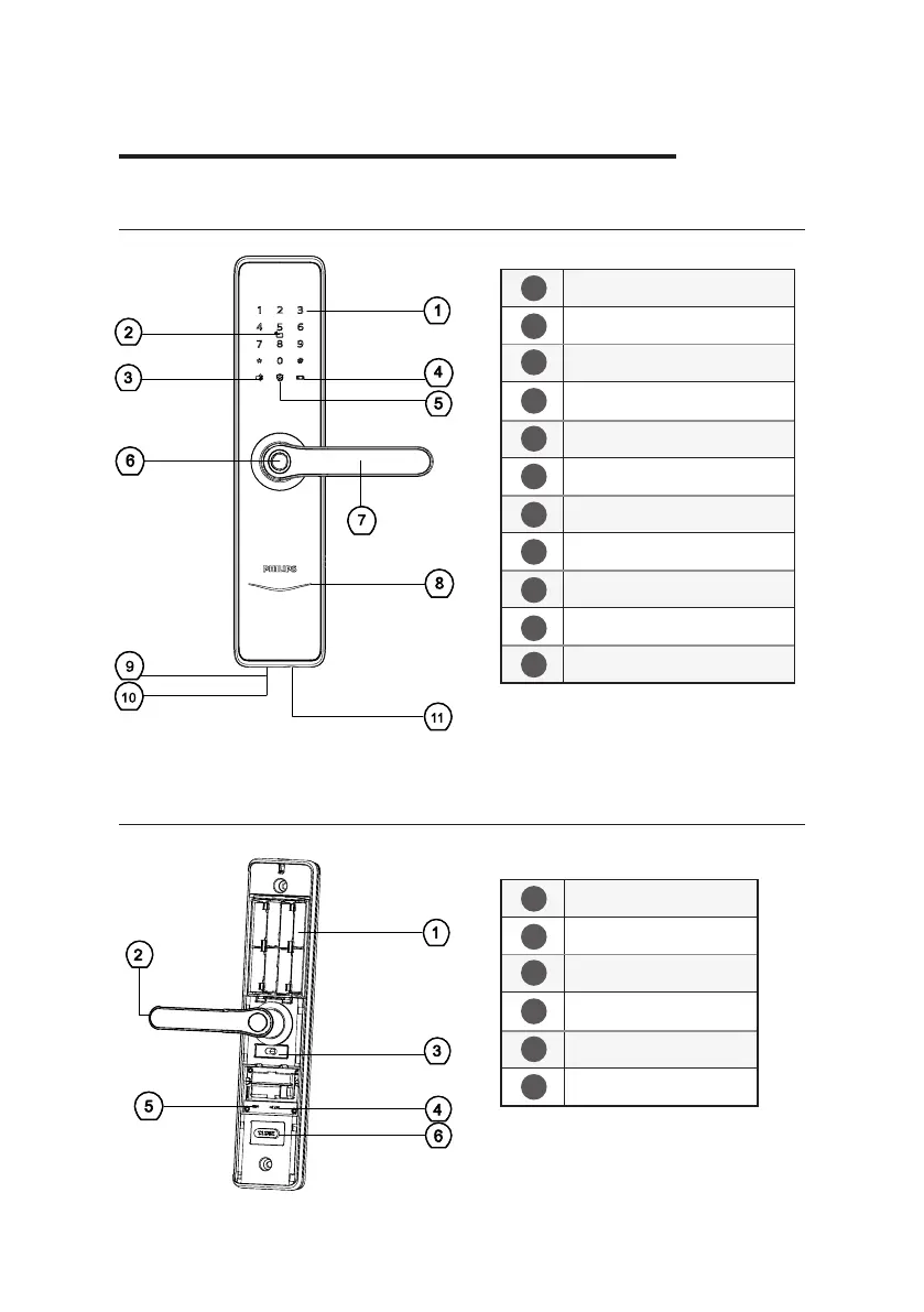 Page #11 background image
