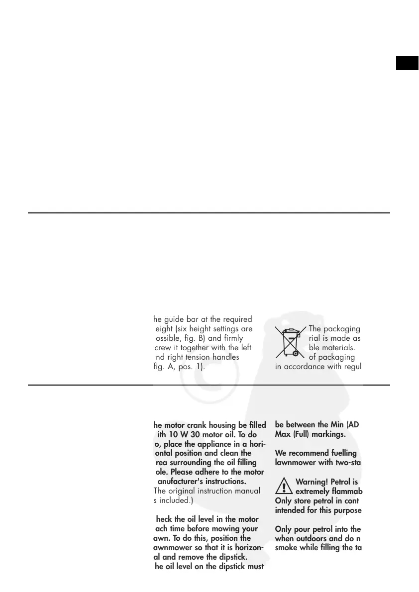 Page #19 background image