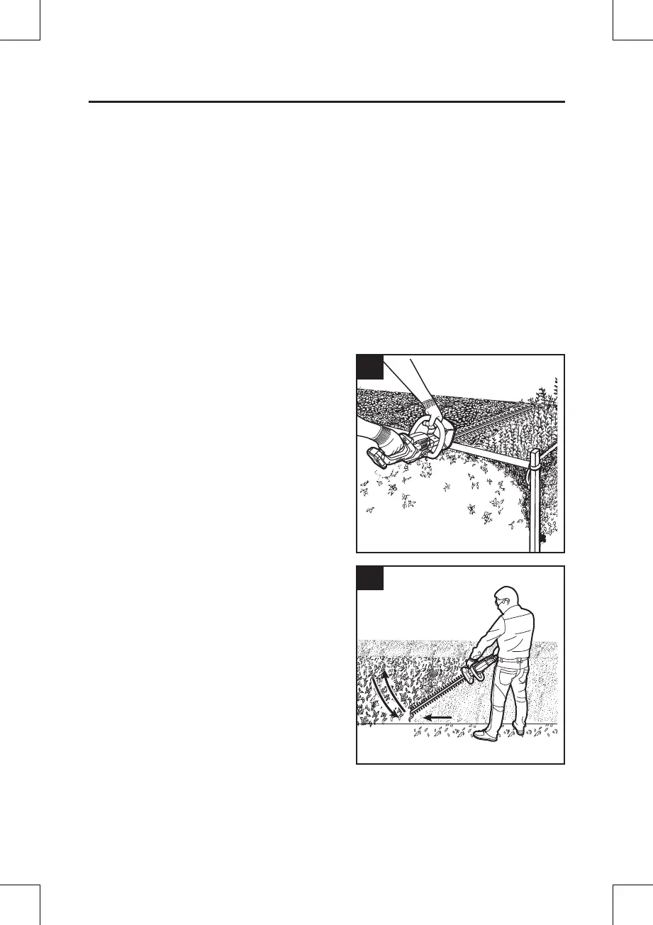 Page #24 background image