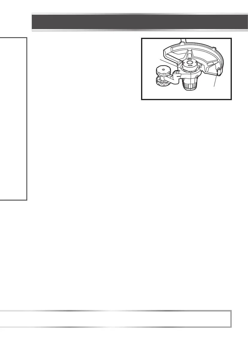 Page #16 background image