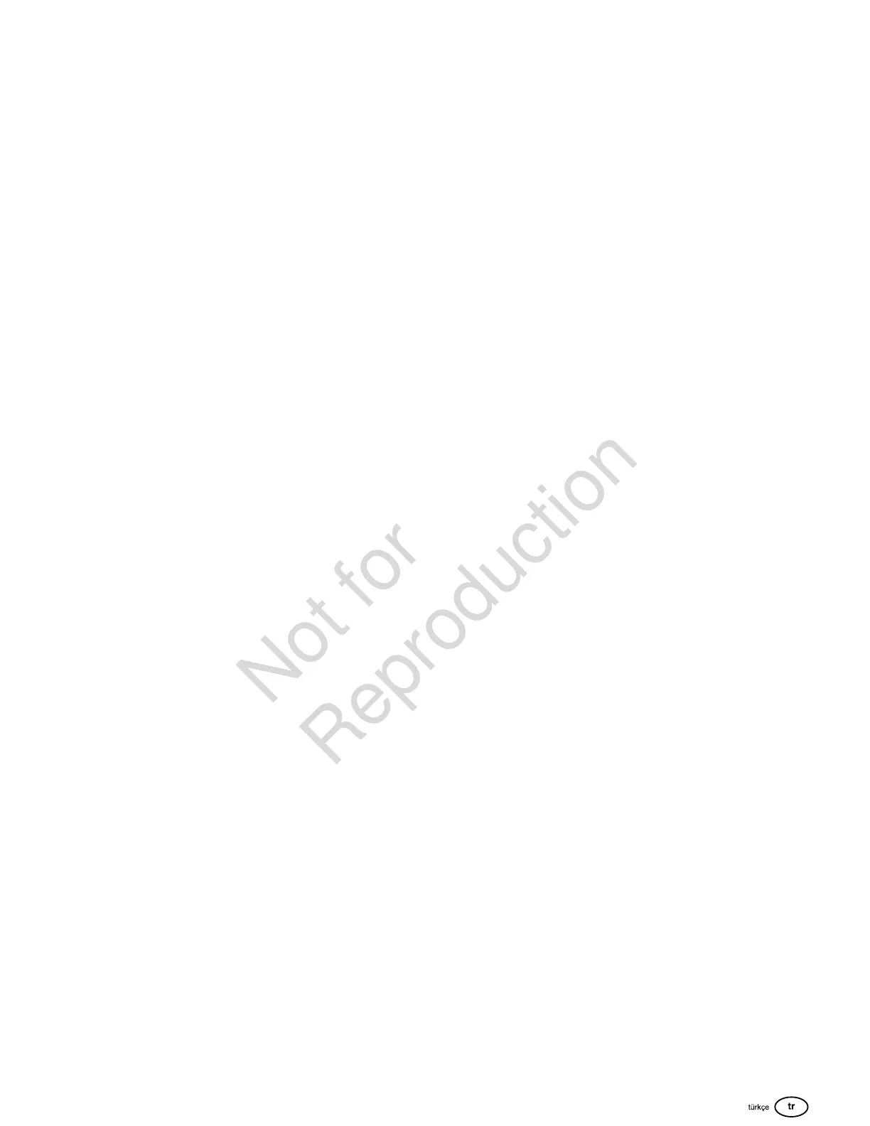 Page #243 background image