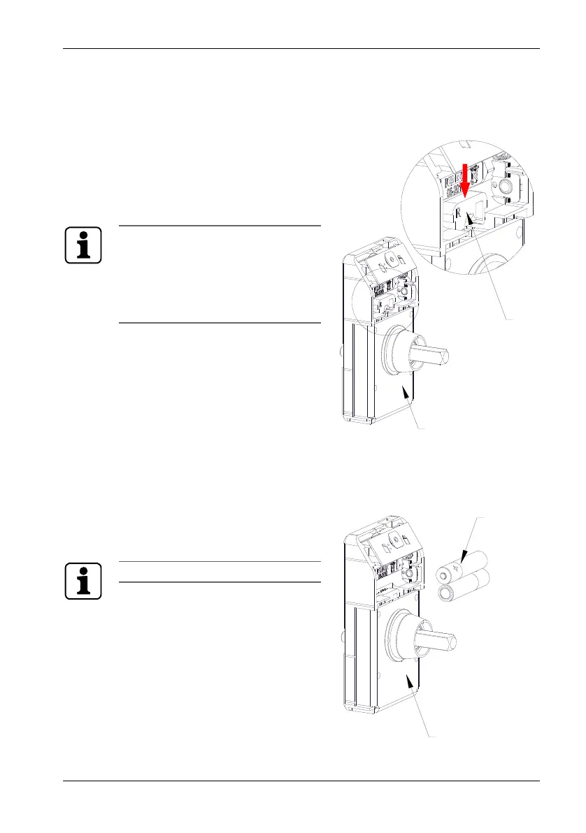 Page #13 background image