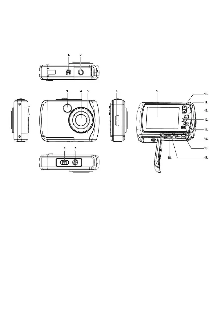 Page #10 background image