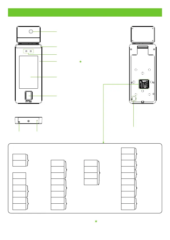Page #2 background image