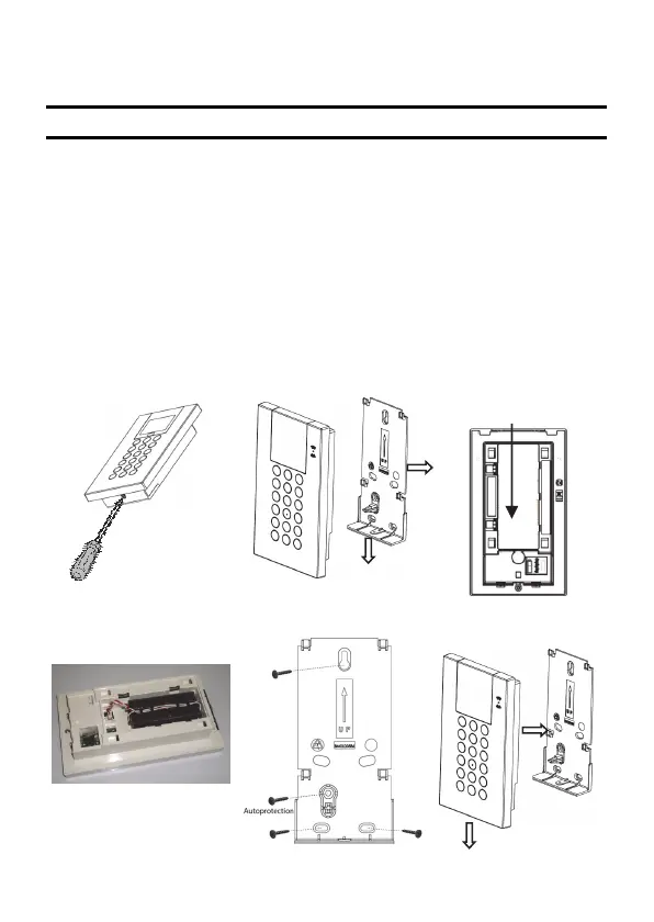 Page #19 background image