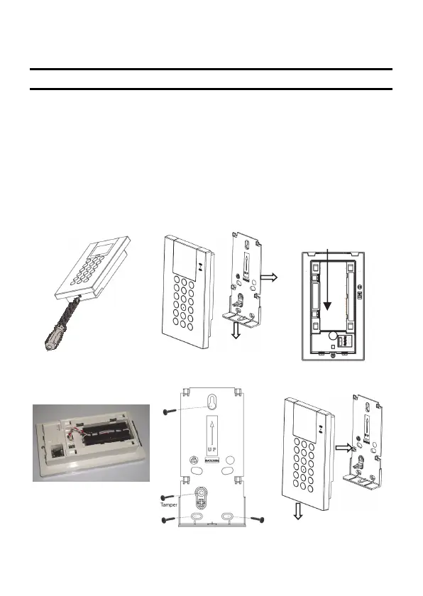 Page #11 background image