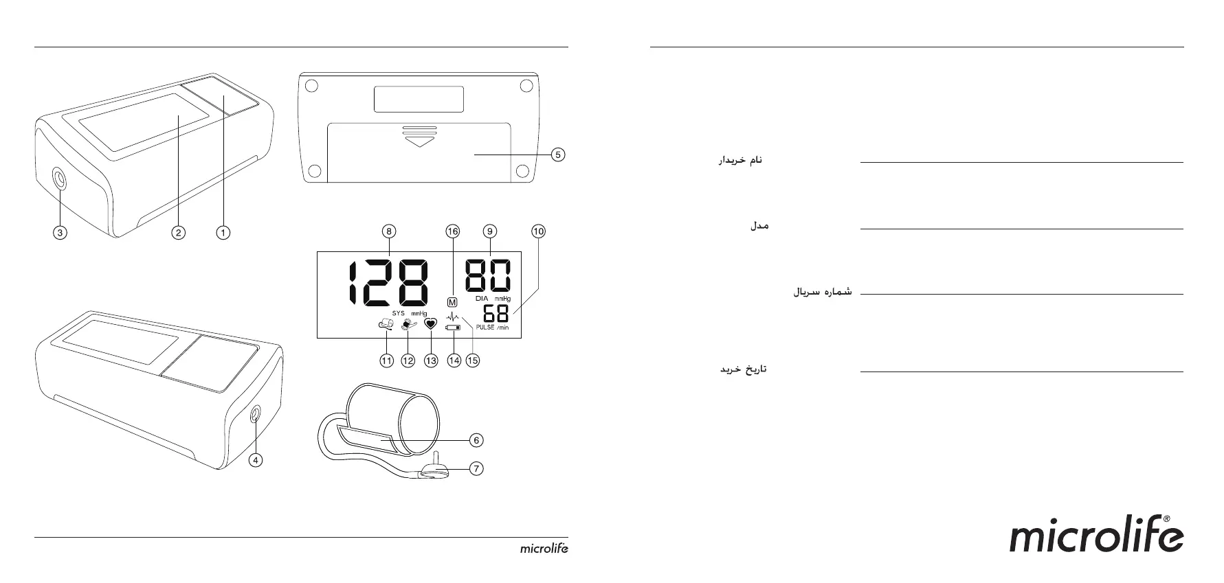 Page #2 background image