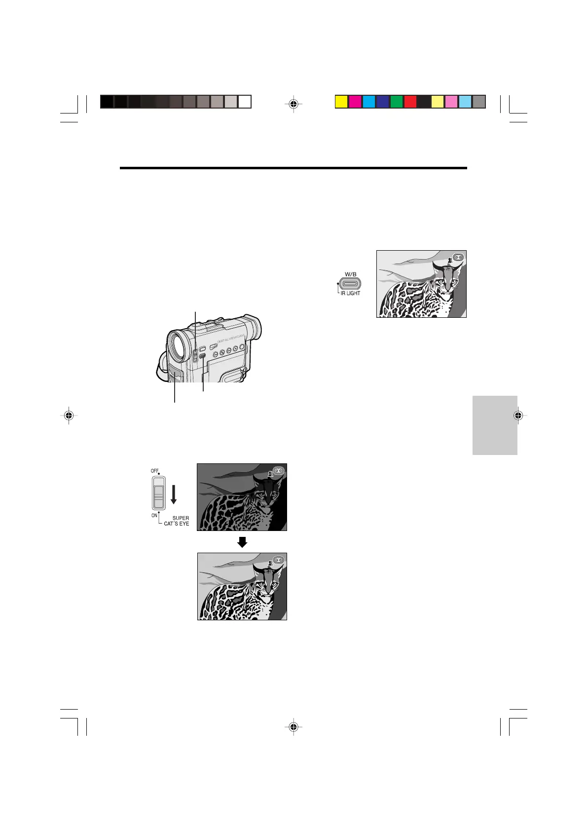 Page #43 background image