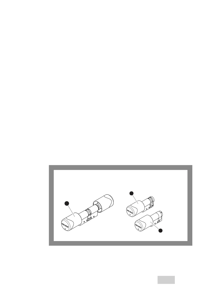 Page #53 background image