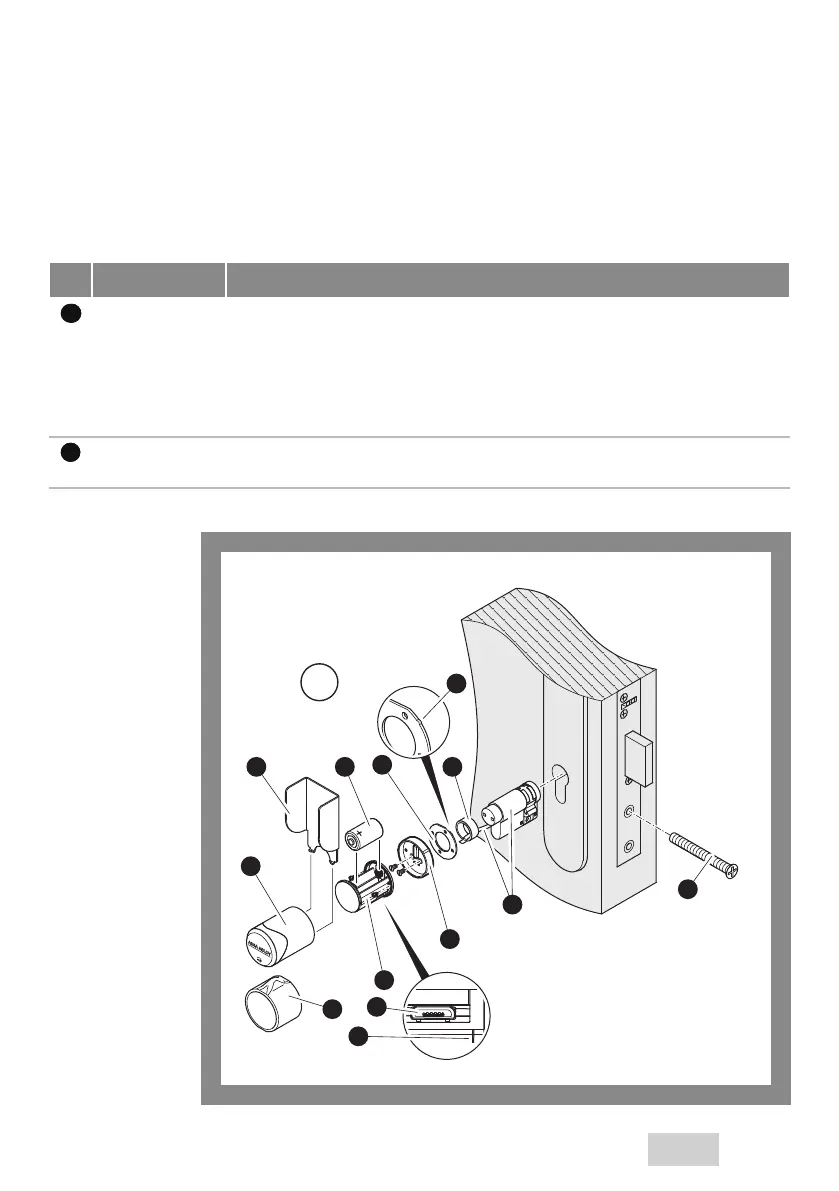 Page #13 background image