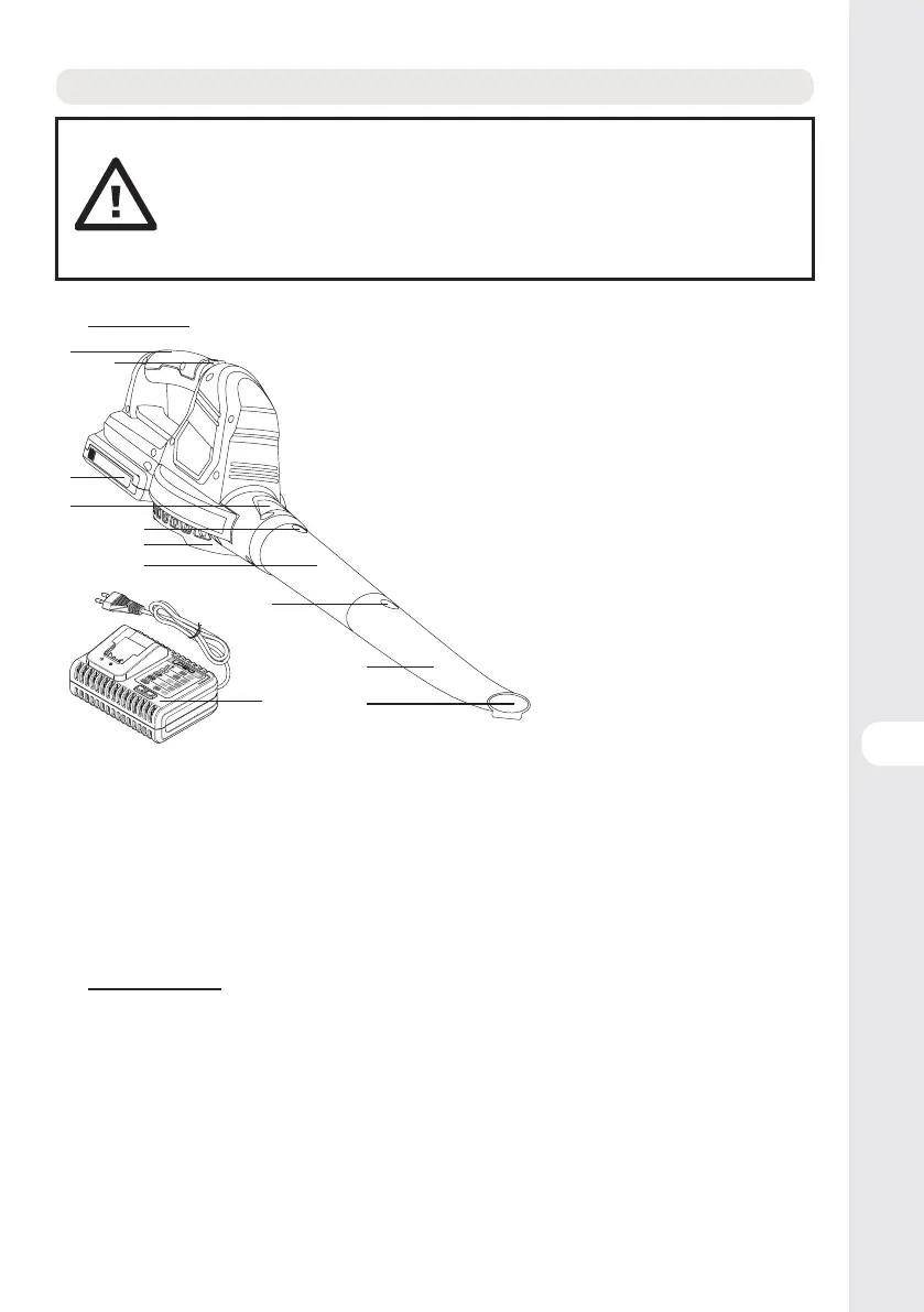 Page #225 background image