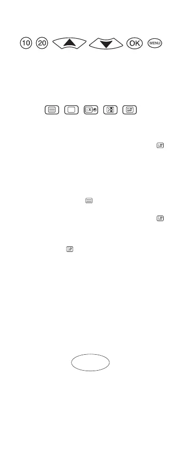 Page #19 background image