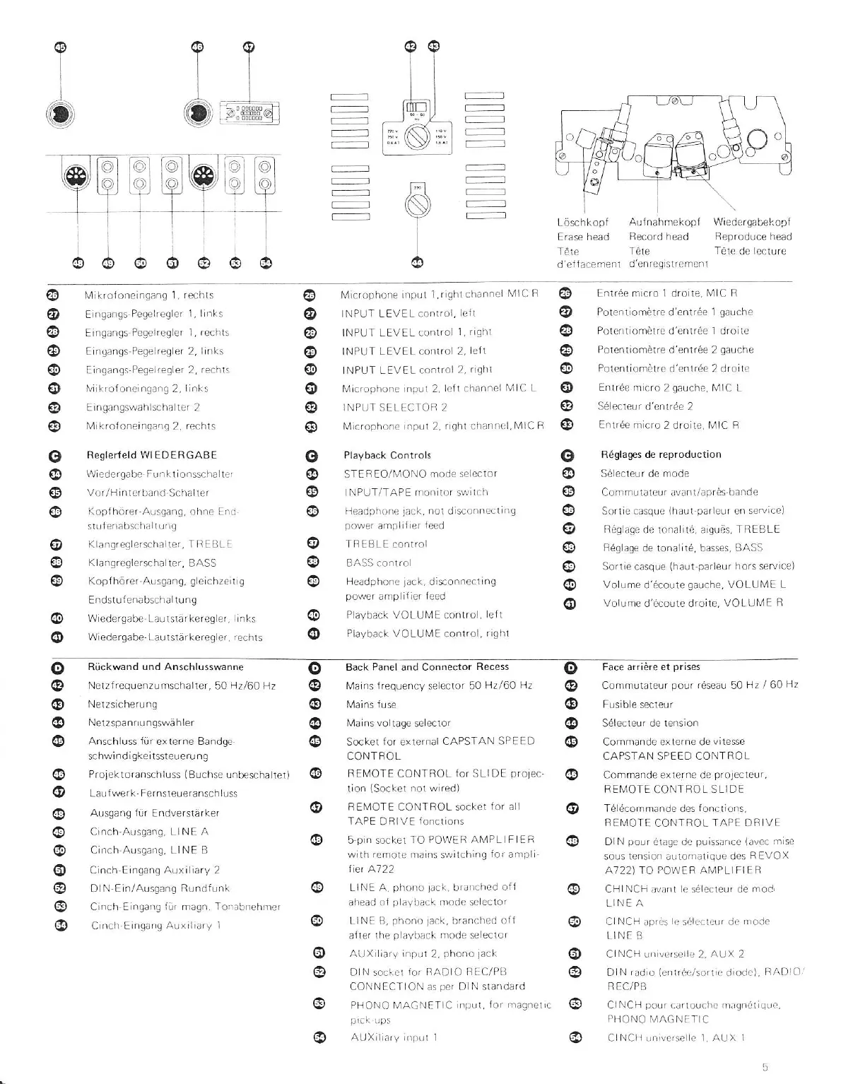 Page #5 background image