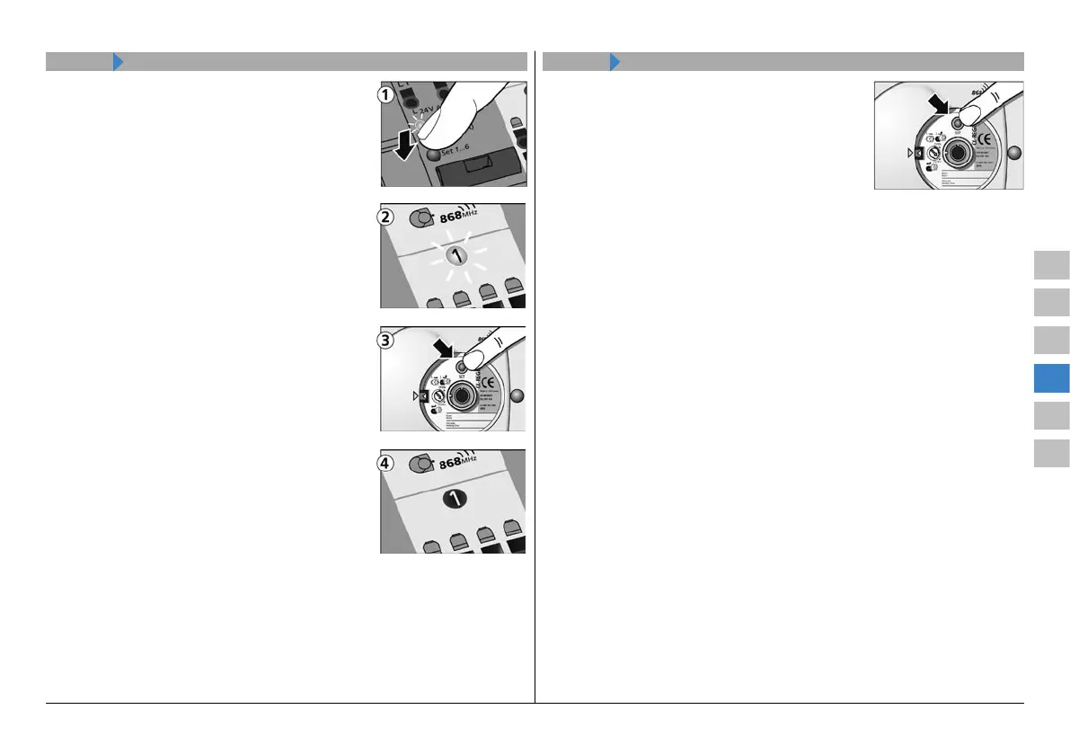 Page #43 background image