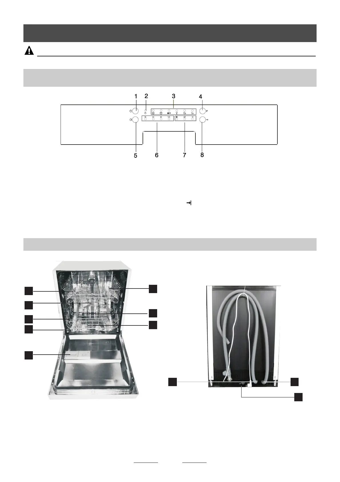 Page #8 background image