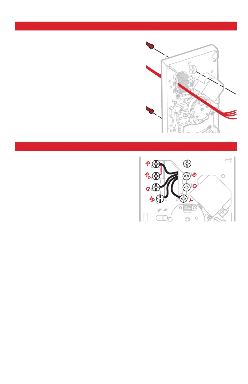 Page #13 background image