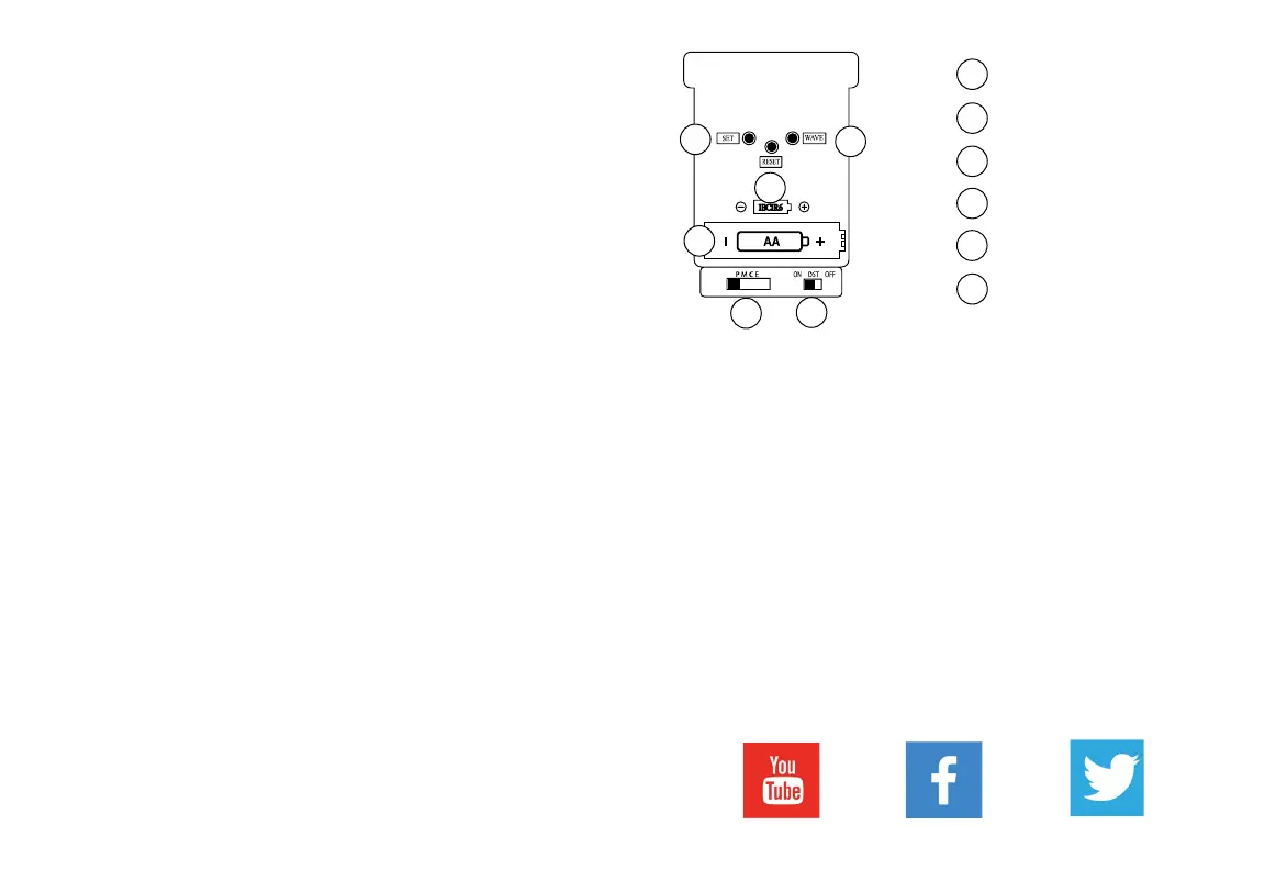 Page #2 background image