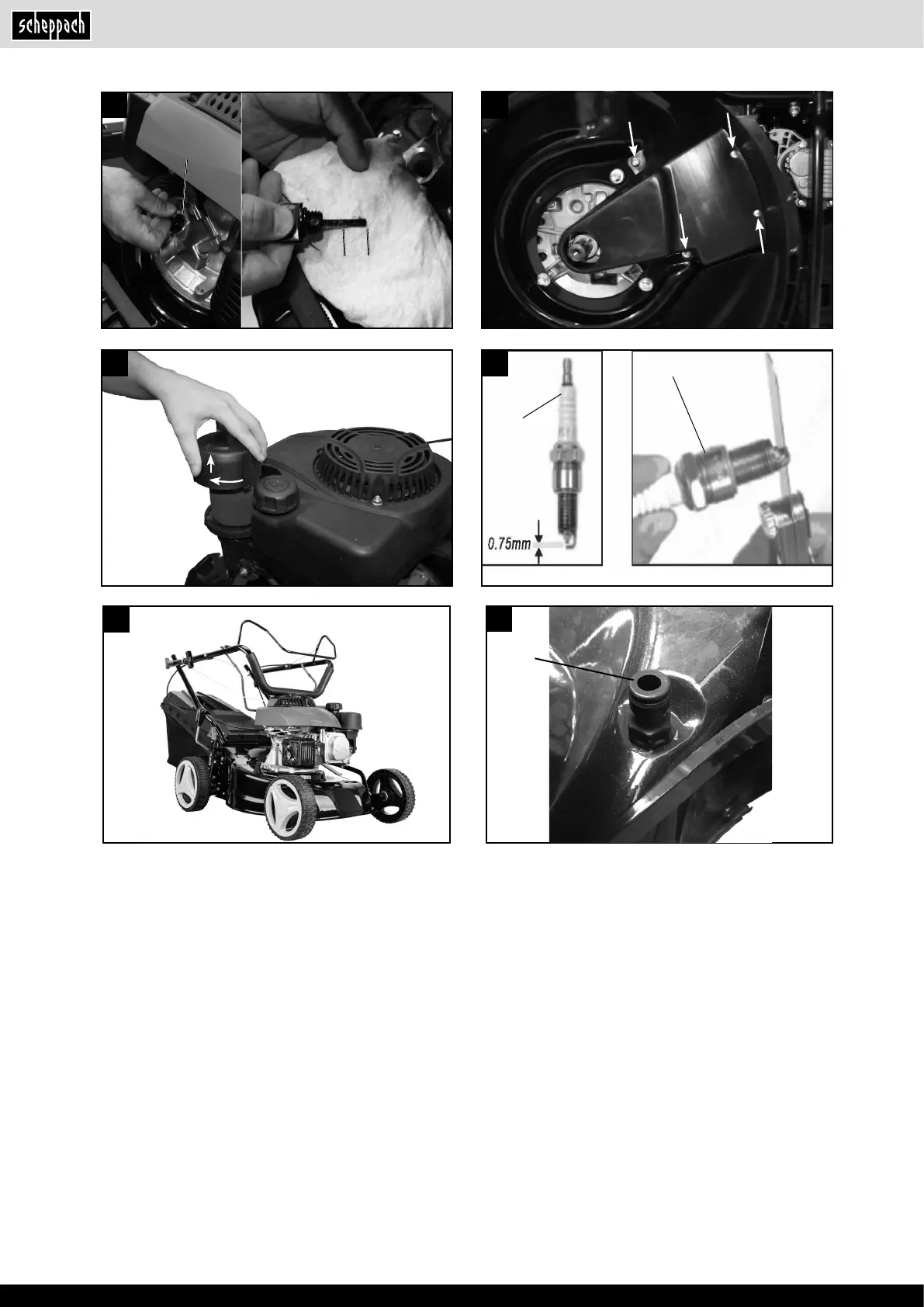 Page #6 background image