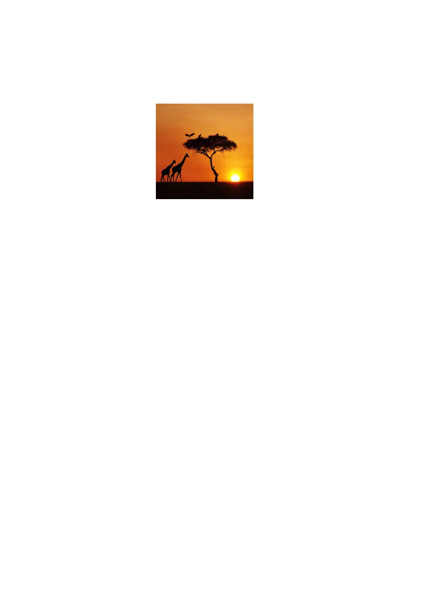 Page #33 background image