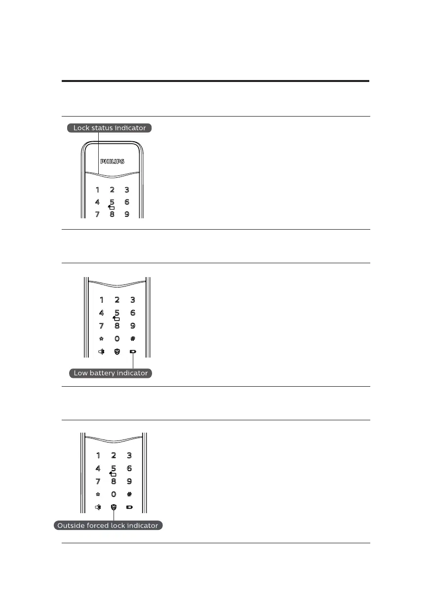 Page #20 background image