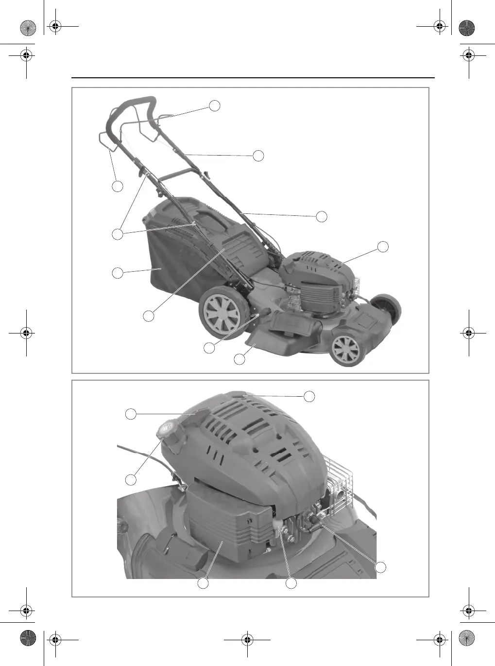 Page #3 background image