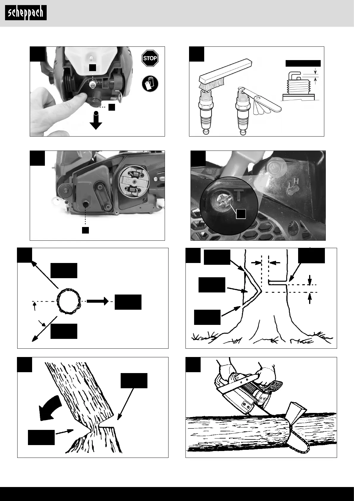 Page #6 background image