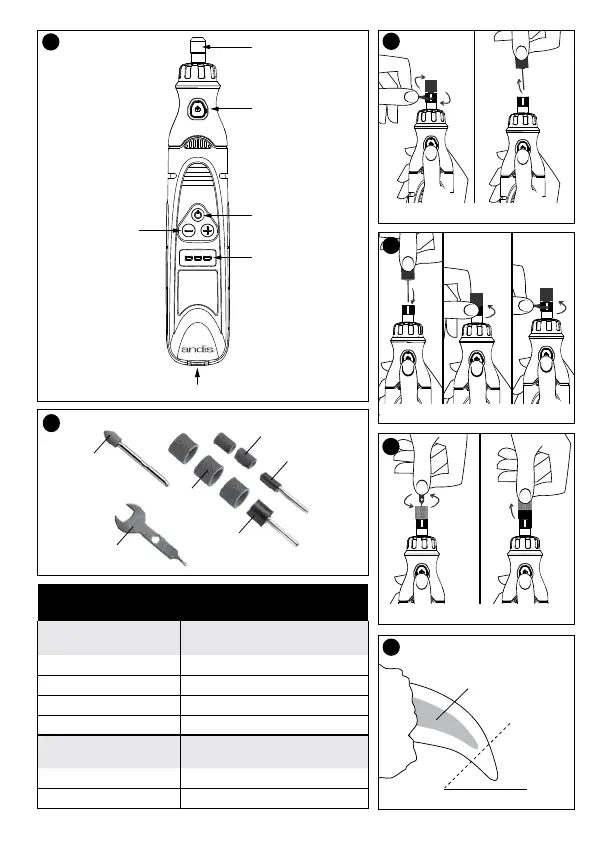 Page #17 background image