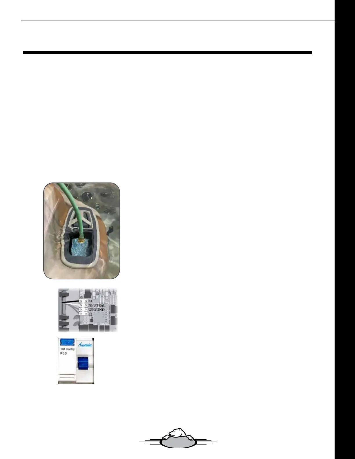 Page #81 background image