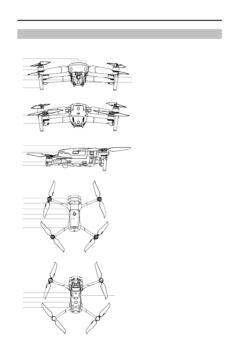 Page #10 background image