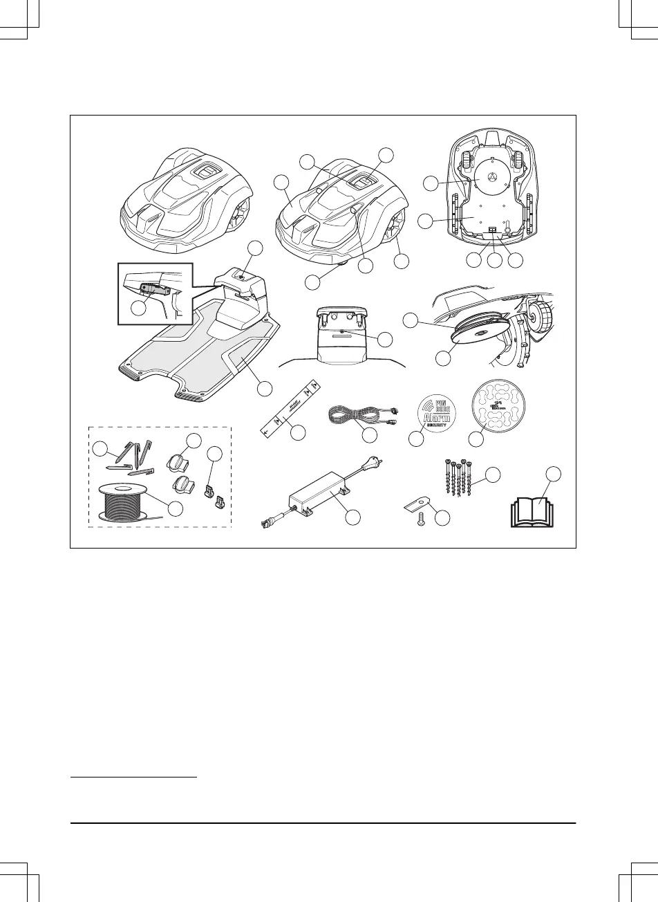 Page #4 background image