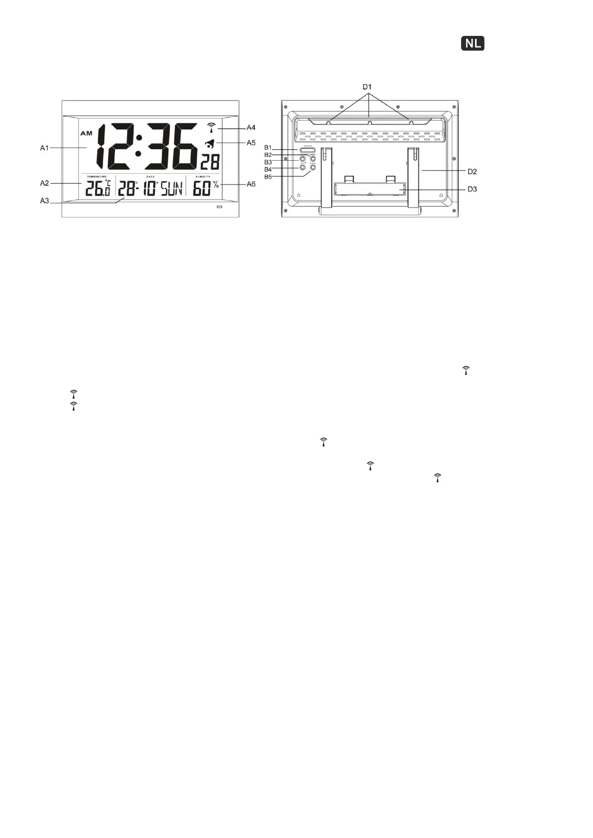 Page #13 background image