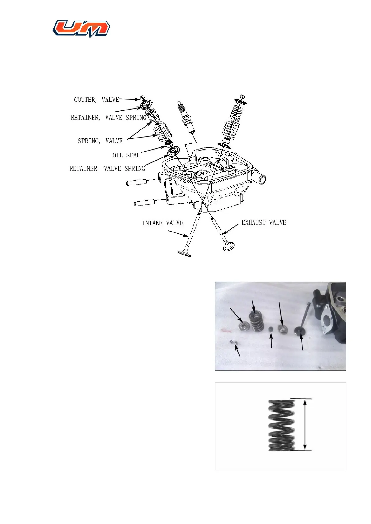 Page #38 background image