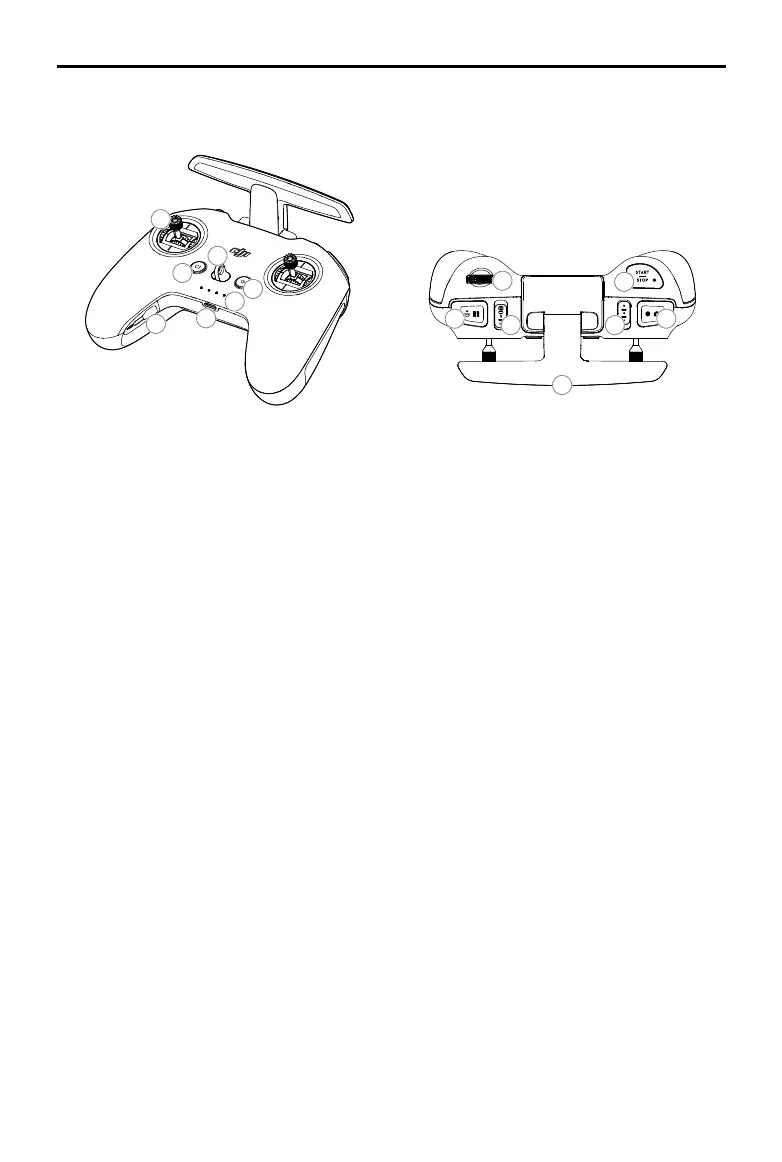 Page #12 background image
