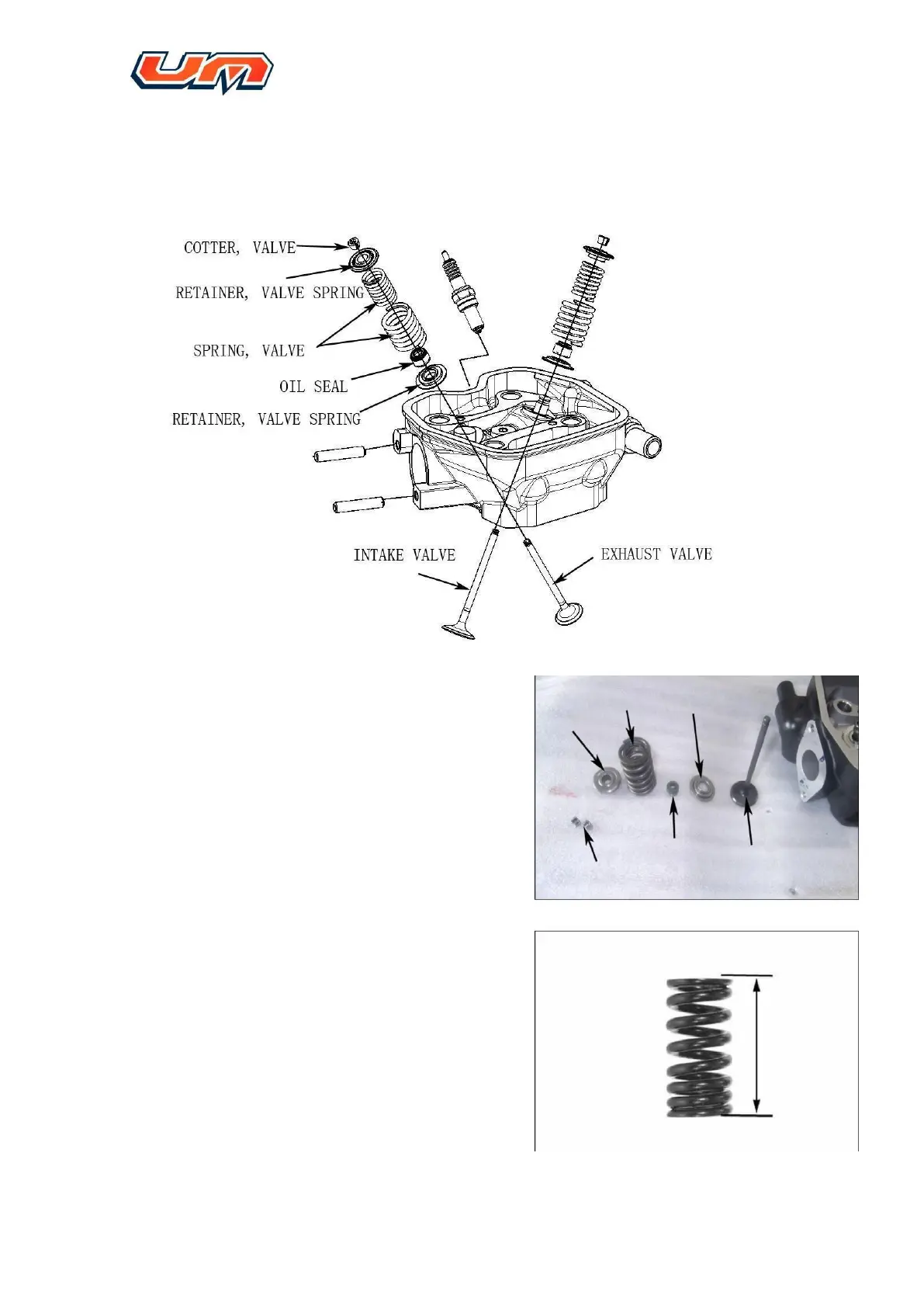 Page #38 background image