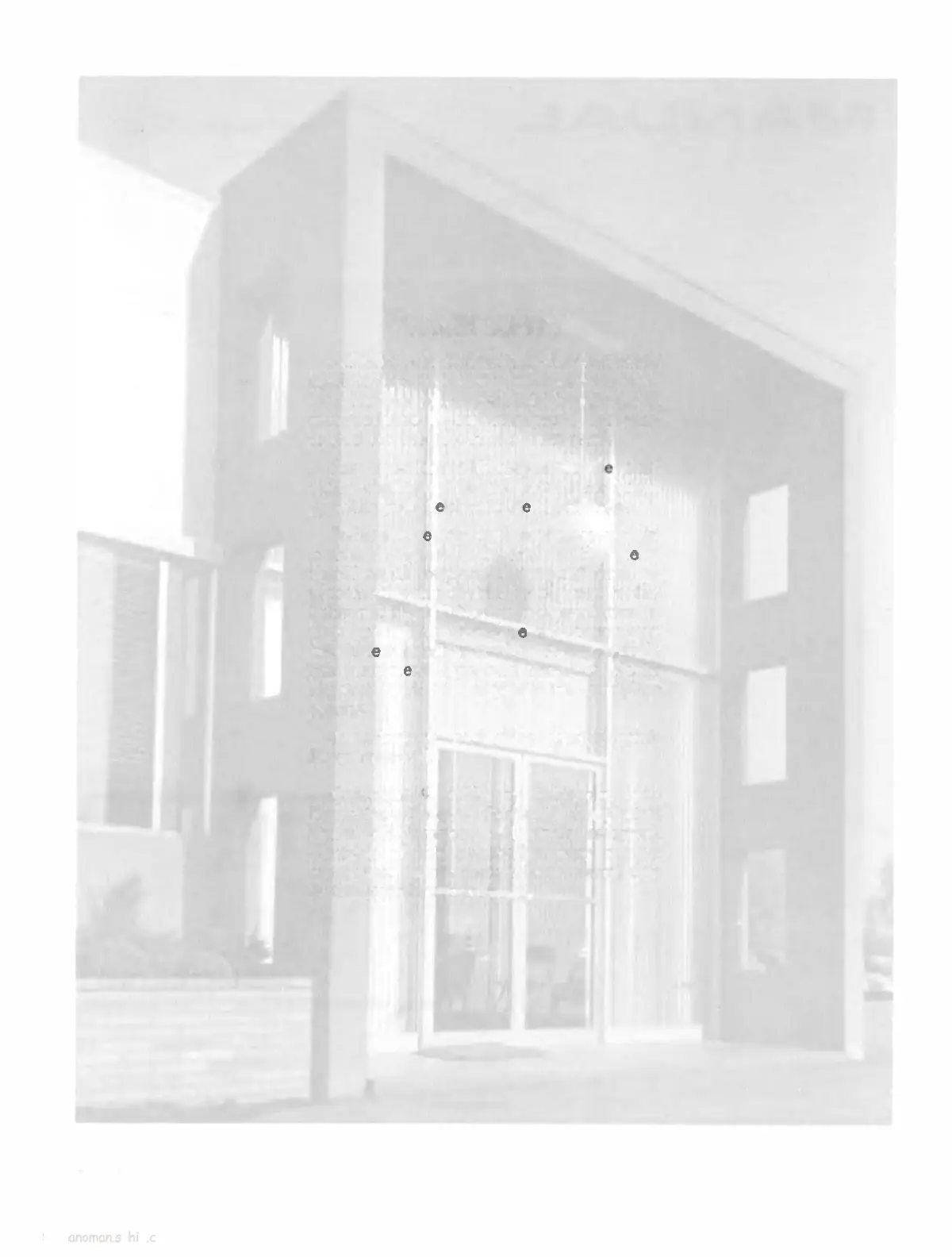 Page #2 background image